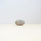 stone+glass: c-20-287